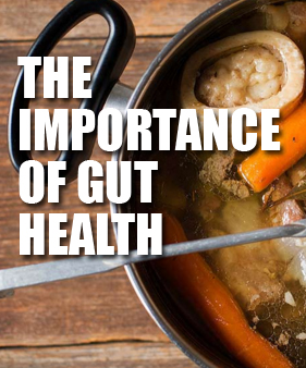 Gut Health - Healing - Bone Broth - Health and Healing - Ann Arbor, Michigan