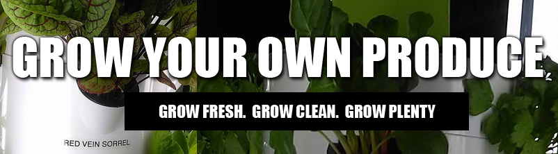 grow your own produce - detroit - 